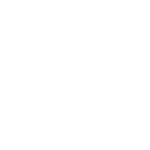 blank